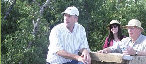 Casas Grandes grower Dana Johnson explains his cousin Lester’s peach growing systems.