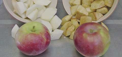 Eden, a new apple with flesh that is slow to turn brown, is compared with MacSpur, on the right. A dark red apple with pure white flesh, Eden could be ideal for making into apple chips, fresh-cut slices, or pie filling. 