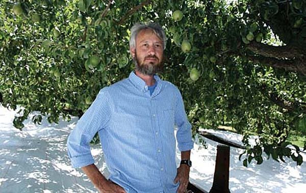 Since the pear industry still lacks a dwarfing rootstock,  Dr. Todd Einhorn is experimenting with ways to improve light penetration in standard pear trees.