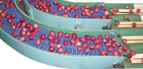 Rice Fruit Company received a record 1.5 millon bushels of apples for packing this season. 