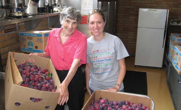 Northwest Harvest gleaning volunteers show plums that they picked for a western Washington food bank.
