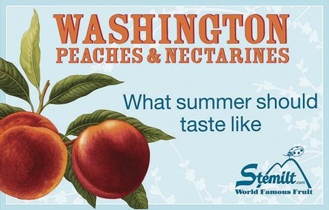 This display card was part of a stone fruit promotion program that earned Stemilt Growers, Inc., Wenatchee, Washington, a Marketing Excellence Award from Produce Business magazine. The promotion was designed to help consumers differentiate Stemilt's peach