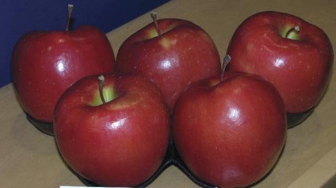 These Nicola apples grown by Dashan Gill of Oliver, British Columbia, took a first place for new varieties.