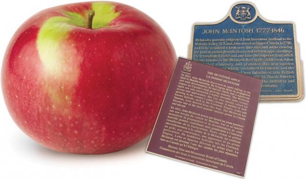 The tribute to John McIntosh appears on a blue plaque near Dundela, Ontario, Photo by Alan L. Brown. The lower plaquue is a tribute to the McIntosh apple, in the center of Dundela, Ontario. Photo by David and Kellie Clifford