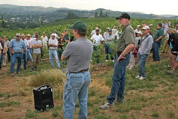 Lynn Long discusses the fumigation in a new Regina cherry block at the Omeg orchard at The Dalles, Oregon.
