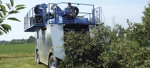 Michigan State University researchers are testing various harvesting equipment on tart cherries that aren't amendable to traditional trunk shaking harvesters. This Korvan blueberry harvester, showing promise in preliminary tests, was able to harvest cherr