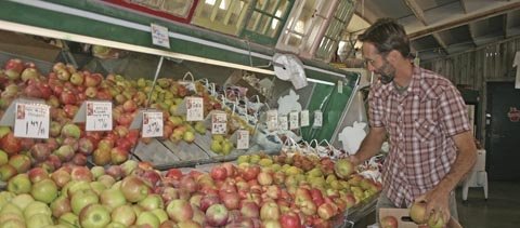 Sunshine Farm Market is not a place to look for off-grade product or cheap fruit. Marketer Guy Evans offers an experience, as well as good food produced in the region.