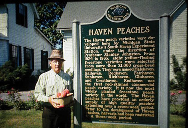In 1966, Michigan placed this historical marker at the South Haven Experiment Station com­mem­orating Stanley Johnston’s work  and the peaches he released. Johnston is pictured with the marker.