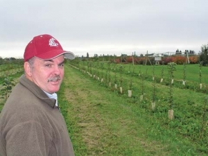 Gary Moulton, at Washington State University in Mount Vernon, is impressed with Taylor's Gold.