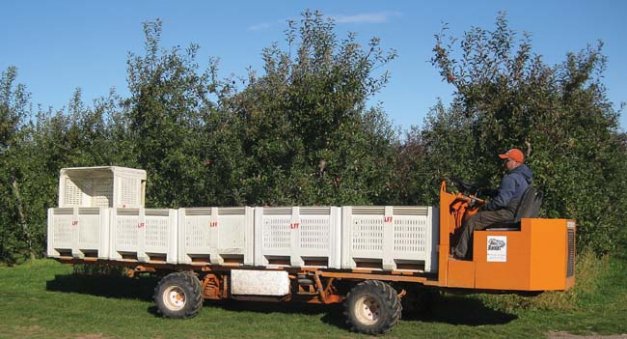 The Bin Bandit hauls bins during the harvest season, and a platform sits on it for use in thinning, pruning, and tree training. 