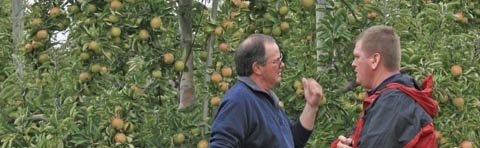 Brett Drescher of Washington (left) and Chris Kropf of Michigan discuss the phenomenal production at Richard Hoddy's orchard.