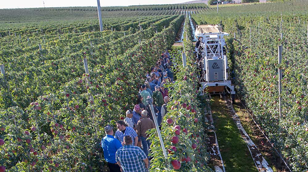 Advanced.farm demonstrates its robotic apple harvester in September for the Yakima POM Club at Chiawana Orchards near Cowiche, Washington. (Ross Courtney/Good Fruit Grower)