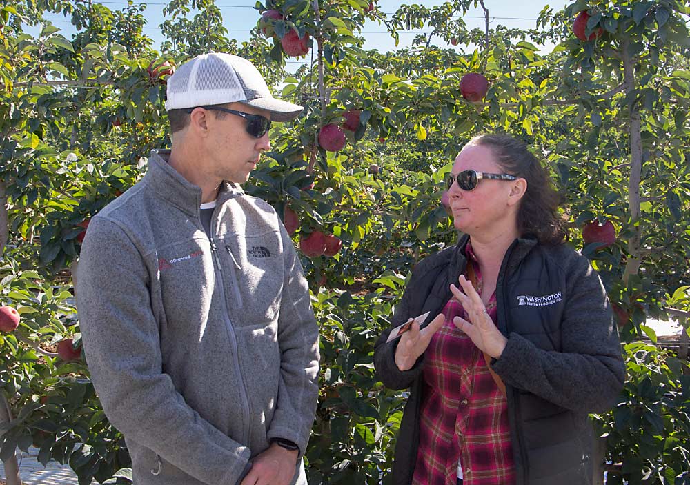 Julia Bringolf of Royal Bluff Orchards in Royal City, Washington, discusses fruit quality with Kyle Cobb, co-founder and president of advanced.farm. (Ross Courtney/Good Fruit Grower)