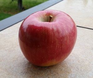 The Arctic Fuji apple. (Courtesy Okanagan Specialty Fruits Inc.)