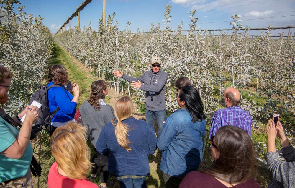 Neal Carter, founder and president of Okanagan Specialty Fruits, leads a tour of bloggers, trade journalists and dietitians in early October through his company’s Eastern Washington orchards. The company is rapidly ramping up production of its Arctic apples, genetically altered to not turn brown when sliced or bruised. (Ross Courtney/Good Fruit Grower)