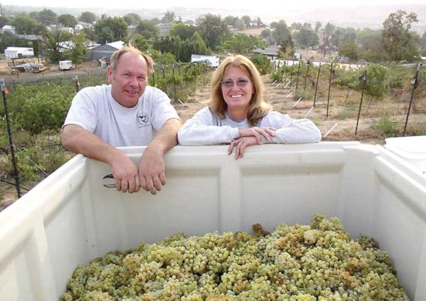 Jim and Dana Arnett harvest wine grapes at Arnett Vineyard in Clarkston, Washington. <b>(Courtesy Coco Umiker)</b>