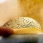 More moth math needed for Washington orchards Sterile Insect Release Program