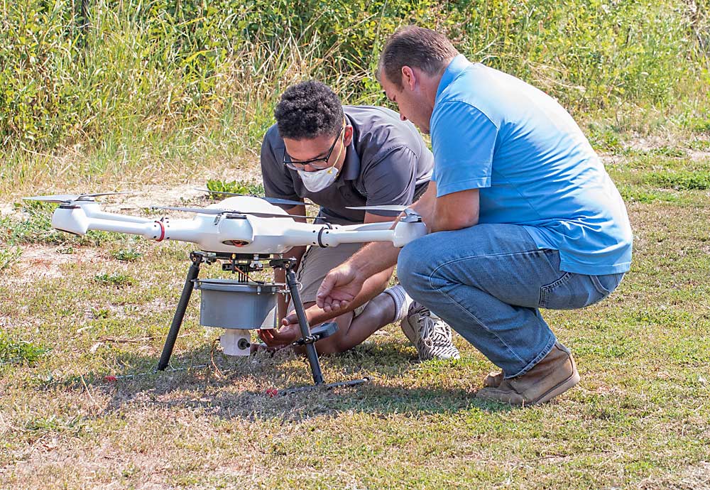 M3’s Darius Moses-Howard, left, secures the moth delivery cart to a commercial drone, while Dustin Krompetz begins preflight checks. Staff members who work directly with the moths sometimes don dust masks to protect themselves from allergens. (TJ Mullinax/Good Fruit Grower)