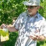 Sticking with predators for pest management BeneficialLure