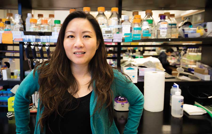 Dr. Joanna Chiu of the University of California, Davis, has published research on yeast biopesticide to be used on spotted wing drosophila.<b> (TJ Mullinax/Good Fruit Grower)</b>