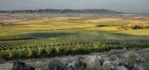 The view from Longwinds Vineyard on Red Mountain. (Courtesy Duckhorn Wine Company)