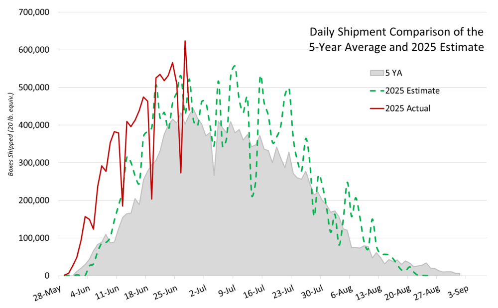 Northwest cherry growers shipped 9.6 million boxes in June, significantly above the five-year average. (Courtesy Northwest Cherries)