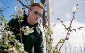 Washington State University's new cherry breeder Per McCord at the Irrigated Agriculture Research and Extension Center. (Ross Courtney/Good Fruit Grower)