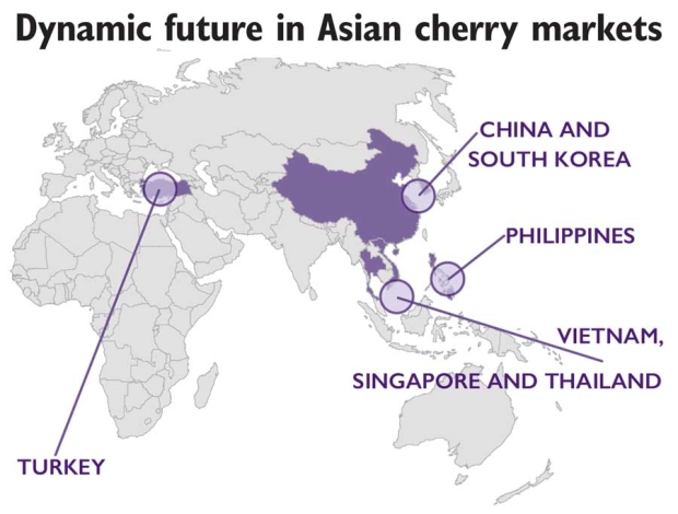 China and South Korea: The two nations alone account for more than 40 percent of Northwest cherry exports, but China’s economy is expected to contract in 2016, dragging Korea down with it. Philippines: A potential new cherry market with 101 million people and growing wealth concentrated in port cities. The nation imposes a 5 percent tariff on U.S. cherries, apples and pears. Vietnam, Singapore and Thailand: Growth in Southeast Asian markets could temper Chinese struggles. Source: Northwest Cherry Growers. <b>(Ross Courtney and Jared Johnson/Good Fruit Grower illustration)</b>
