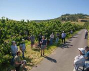 Cherry growers listen as Dave Meyer (center, holding microphone) describes his experience growing the Suite Note variety at his High Rolls Ranch during the annual preharvest cherry tour June 7 near The Dalles, Oregon. (Ross Courtney/Good Fruit Grower)