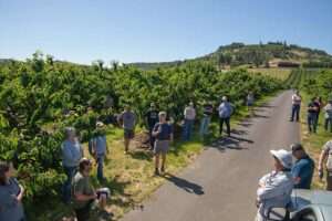 Cherry growers listen as Dave Meyer (center, holding microphone) describes his experience growing the Suite Note variety at his High Rolls Ranch during the annual preharvest cherry tour June 7 near The Dalles, Oregon. (Ross Courtney/Good Fruit Grower)