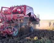 AgForestry Class 42 watches potato harvest at Friehe Farms in Moses Lake, Washington, in September. Each class typically travels to 13 seminars during its term, with 11 in Washington state, one in Washington, D.C., and one at an international destination. (Courtesy Craig Walter)