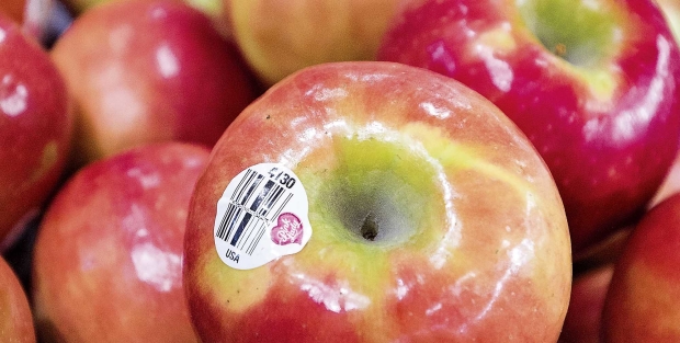 The Pink Lady trademark is said to be one of the first of it's kind in the apple industry when it was finalized in the early 1990s. (TJ Mullinax/Good Fruit Grower)