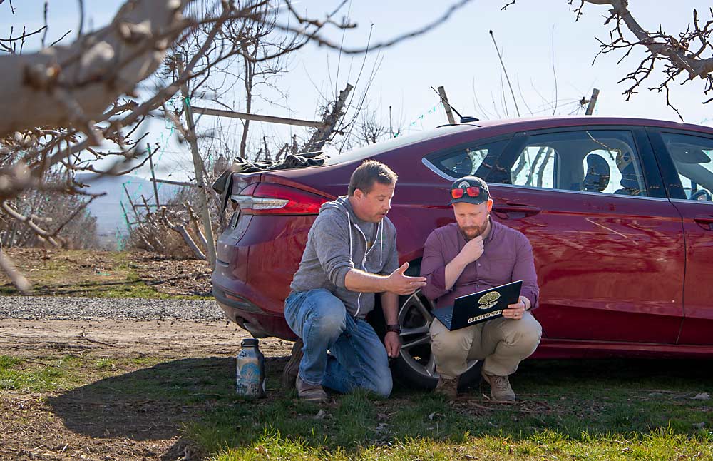 Consistent training systems work with innovation, said farm owner Graham Gamache, left, who huddles over a laptop with employee Tyler Munson to work out the math of a new form of bud counting. (Ross Courtney/Good Fruit Grower)