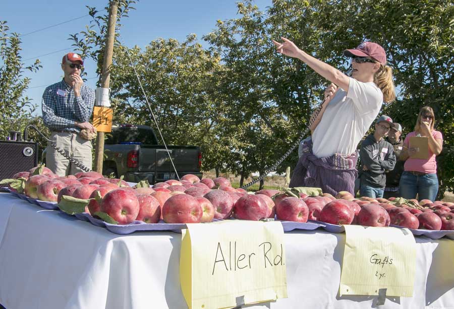 Ines Hanrahan, project manager for the Washington Tree Fruit Research Commission, discuss details of Cosmic Crisp trials on Wednesday, Sept. 14, 2016, at the Washington State University's Roza test orchard northeast of Prosser. <b>(Ross Courtney/Good Fruit Grower)</b>