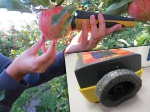 A DA-meter measures light absorption on a Honeycrisp apple. (Courtesy WTFRC)