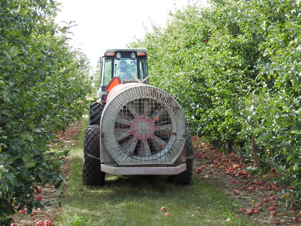 Air-blast sprayer in an apple orchard