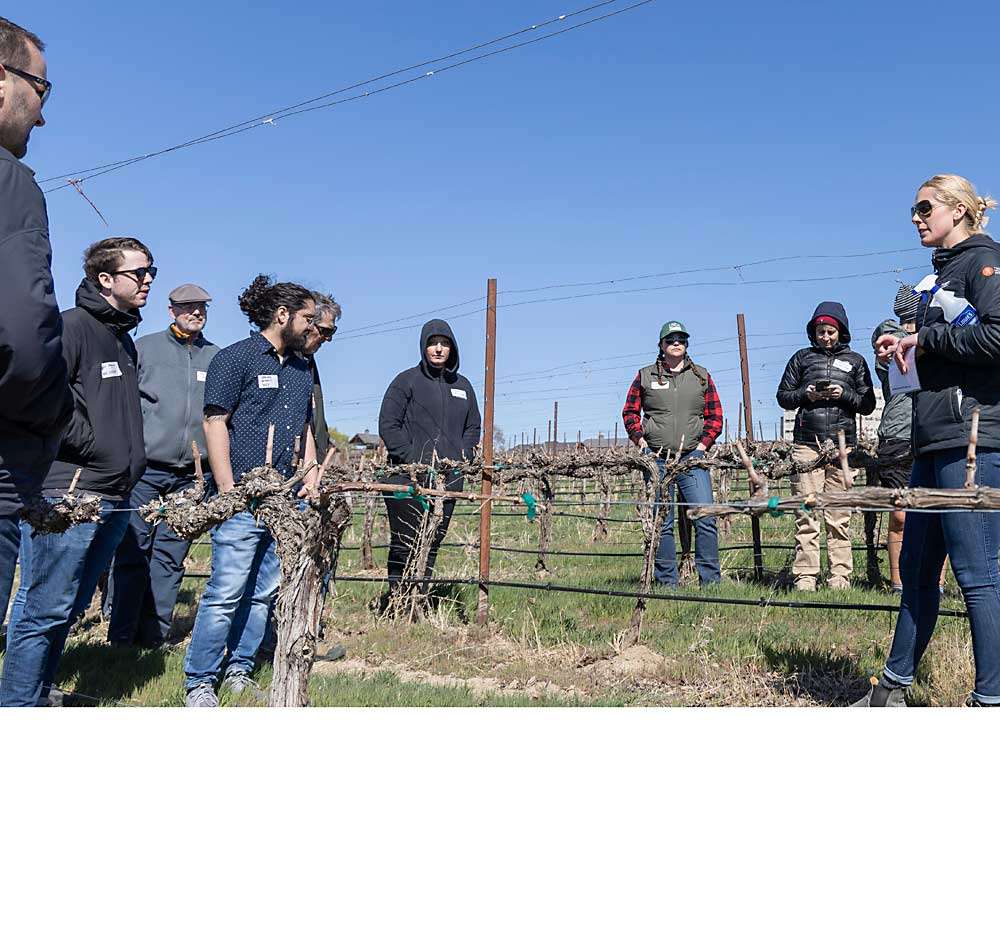 Dineen Vineyards in Zillah invites wine makers and other industry members to a sustainability tour of their Zillah, area acres.