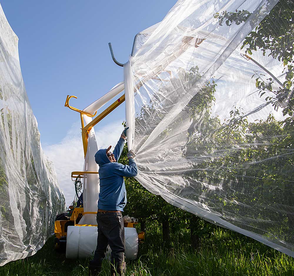 Unstructured netting provides a - bug — Grower Video barrier Fruit Good