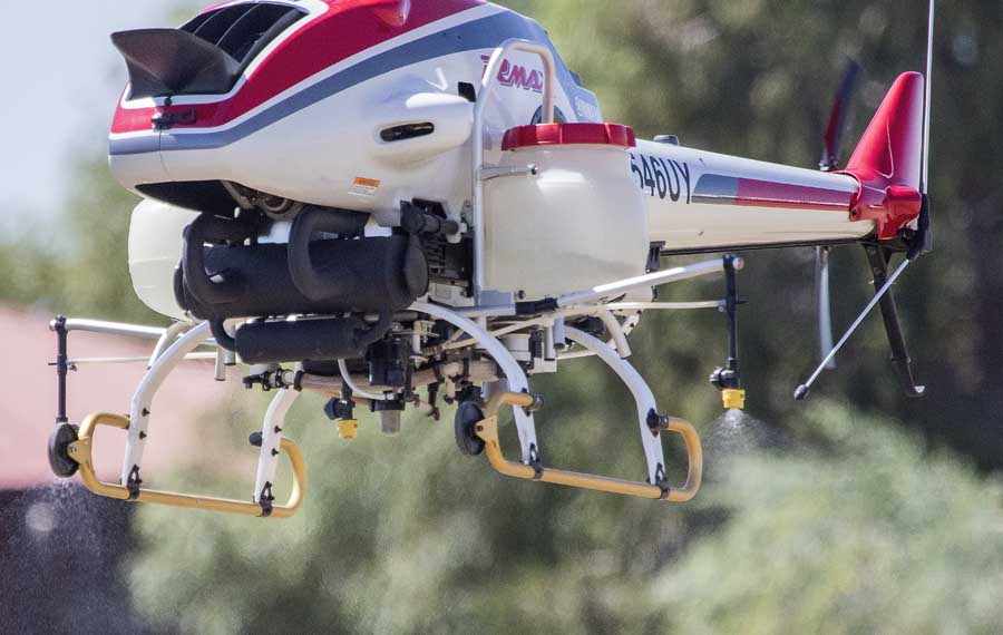 A Yamaha RMax UAV flies a prearranged flight path to spray from two tanks filled with water over a field. The capacity of each tank is about 2 gallons. <b>(TJ Mullinax/Good Fruit Grower)</b>