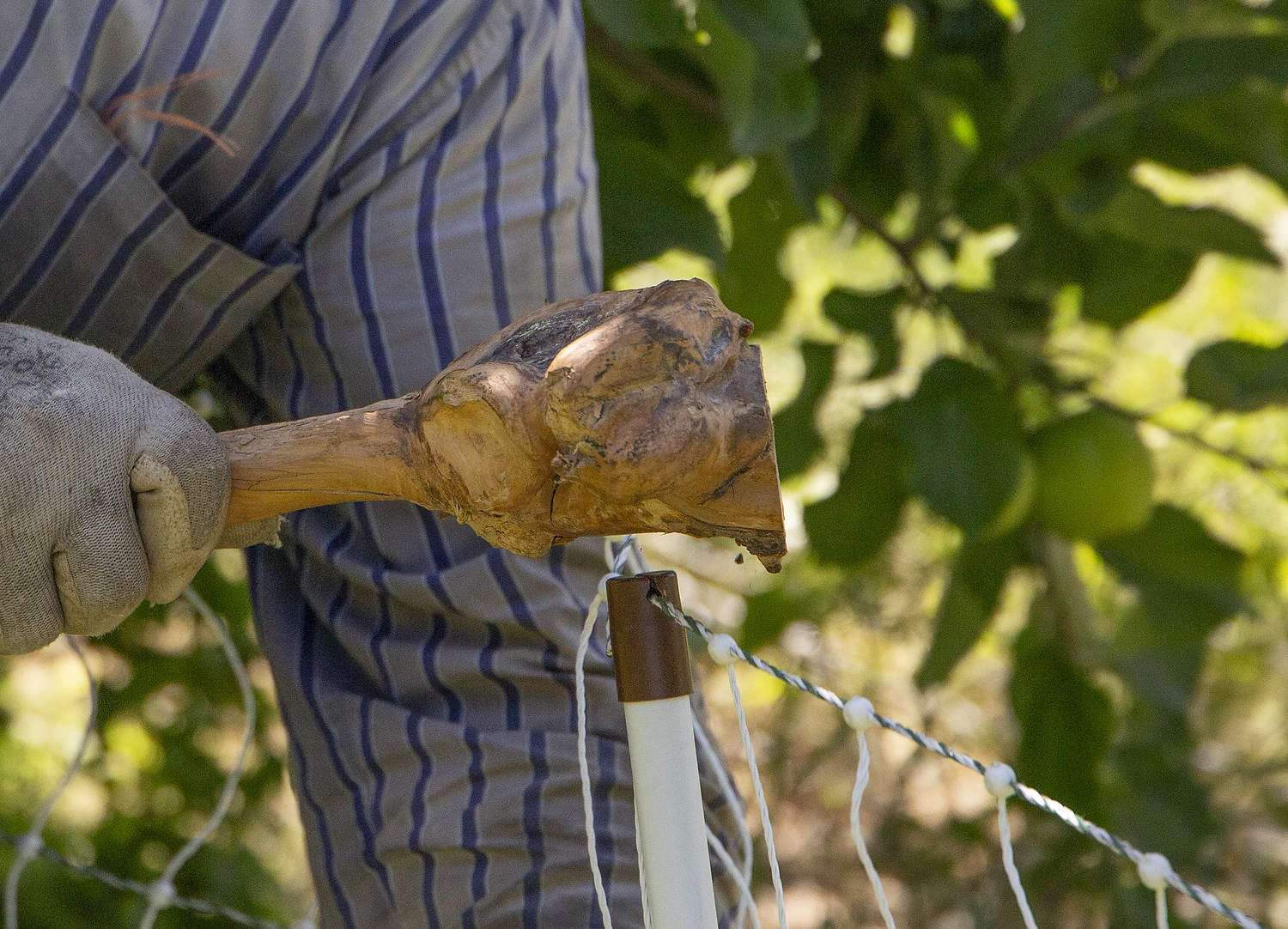 A worker uses a piece of wood to hammer in a fence post.