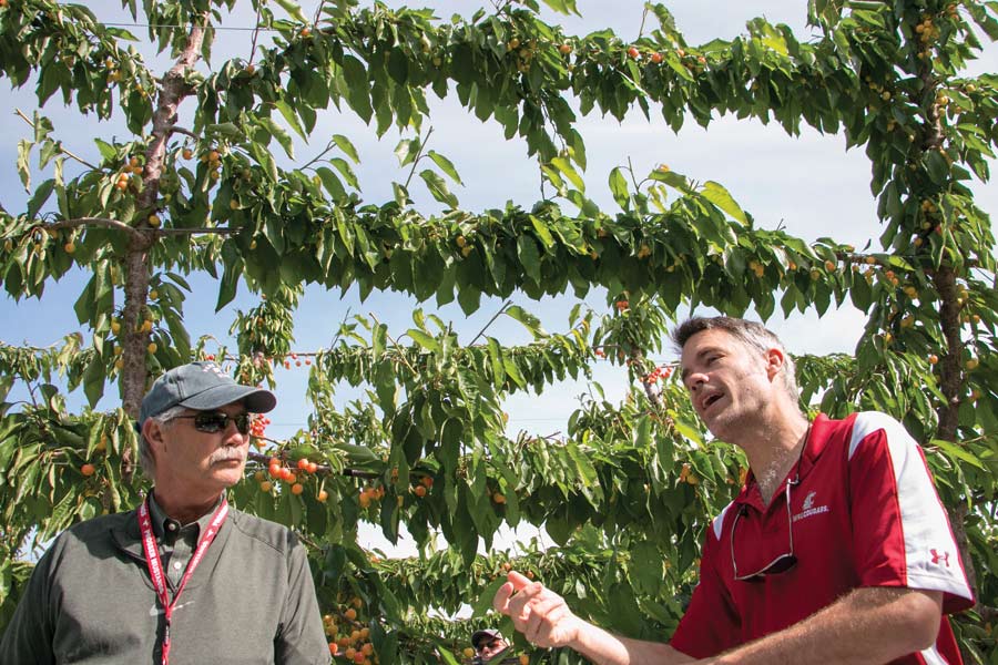 Matt Whiting, right, Washington State University research horticulturist, discusses the intricacies of raising the Early Robin cherry variety with grower Denny Hayden during a May tour in Pasco, Kennewick and Benton City, Washington. The Early Robin is one of the first blush varieties to ripen and is rising in popularity. <b>(Ross Courtney/Good Fruit Grower)</b>