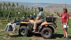 Electric orchard equipment