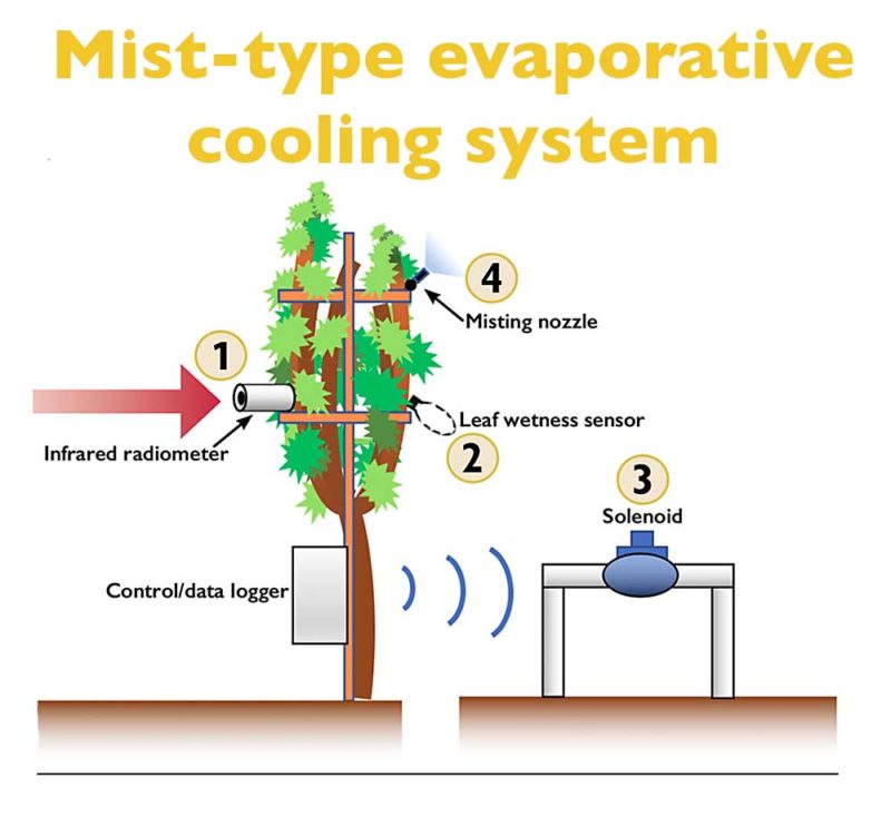 evaporative cooling Good Fruit Grower