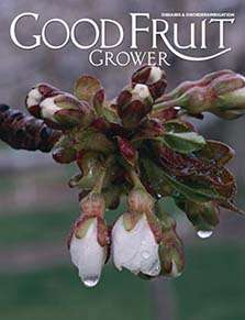 February 15th 2013 Issue