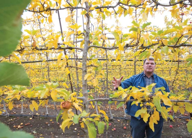 Feigal talks about a trellis system he installed. He has been managing orchards since high school, when his father gave him responsibility for  3 acres of Golden Delicious.<b> (TJ Mullinax/Good Fruit Grower)</b>