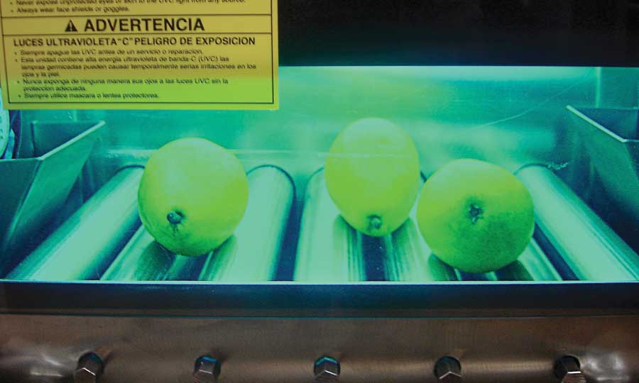 Pathogens on the surface of organic pears were significantly reduced after exposure to UV-C light. <b>(Courtesy Roopesh Syamaladevi/Washington State University)</b>