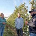 Rise of the orchard manager: 2024 Good Fruit Grower of the Year GOYGausman