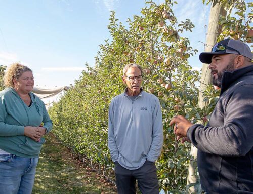 Rise of the orchard manager: 2024 Good Fruit Grower of the Year