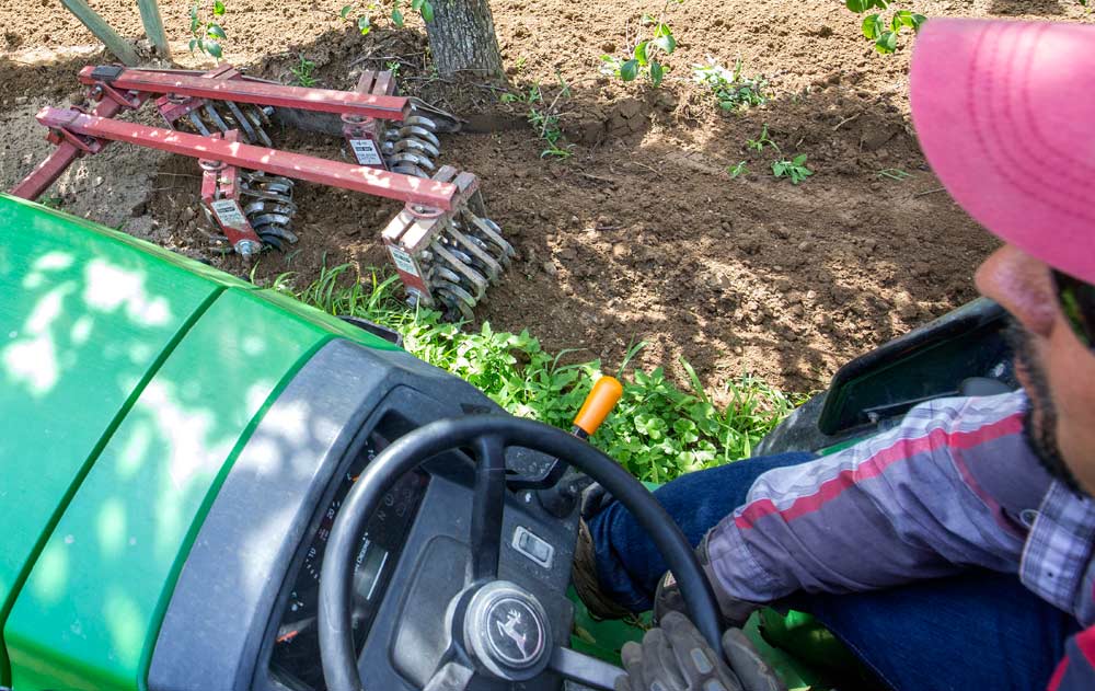 Fixed-arm rolling cultivators — like this Wonder Weeder — are the most common method of weed management in Northwest organic orchards. But other implements may be needed if trees in the row are closer than 4 feet apart. <b>(TJ Mullinax/Good Fruit Grower)</b>