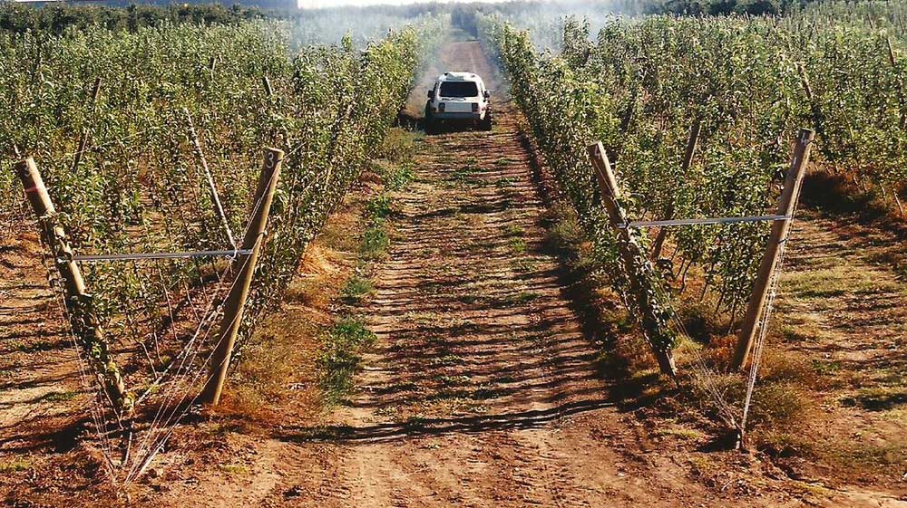When surface soil is taken from the traffic lane and hilled up along the tree line, roots of closely planted fruit trees do not grow well in the compacted subsoil in the traffic lane. <b>(Courtesy Bas van den Ende)</b>